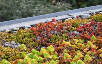 the cost of Row Ash green roof installation