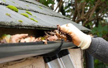 gutter cleaning Row Ash, Hampshire