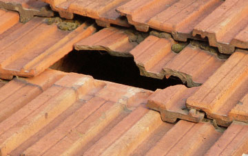 roof repair Row Ash, Hampshire