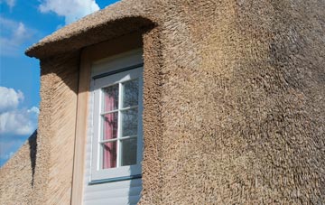 Row Ash thatch roof disadvantages