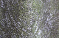 Row Ash fibreglass roof work